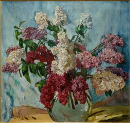 halványlila