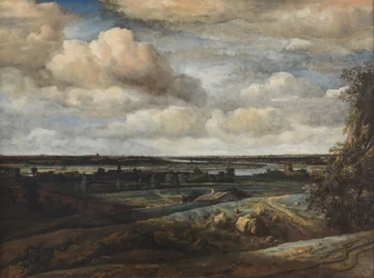 Holland panoráma táj Haarlem távoli kilátásával
