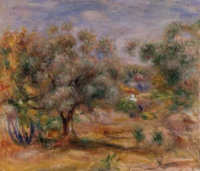 Olívafa Les Collettes-ben, 1910-15 körül (olaj, vászon)