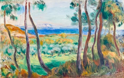 Fenyők Cagnes közelében, c. 1910 (olaj, vászon)
