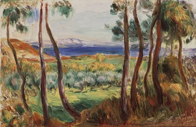 Fenyők Cagnes környékén, c. 1910.