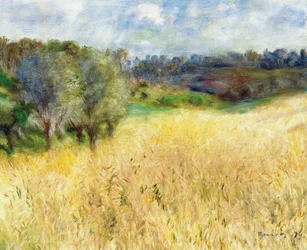 Búzamező, 1879