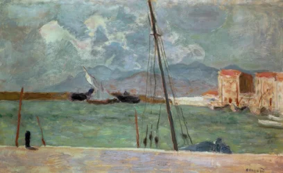 Cannes kikötője