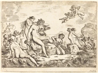 Thetis WC-je