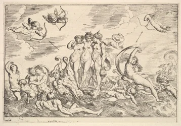 Galatea diadala, 1610-42.