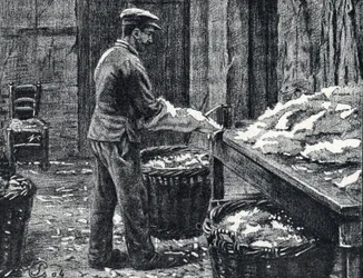 Bőr: nyúlbőr hasítása bőr készítéséhez Gravírozás a Pierre Calmette magángyűjtemény „Excursion a travers les metiers” című könyvéből