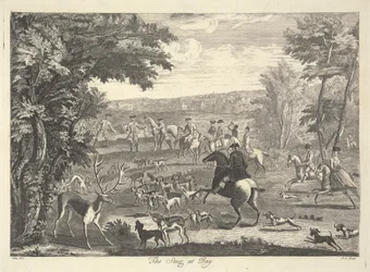 The Stag at Bay