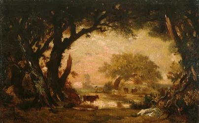 Tisztás a fontainebleau-i erdőben