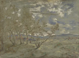 Táj, 1865 körül