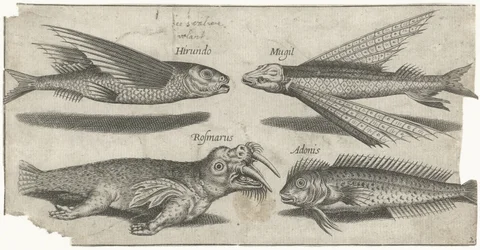 Repülő morgás, csomó, blenny és egy rozmár Horgászat (sorozat címe) Piscivm vivae ikonok (sorozat címe)