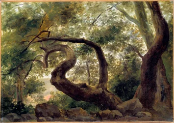 Fa alatt, csavarodó ágú fák Pierre H. de Valenciennes festménye (1750-1850) 19. század V. 0,33x0,47 m