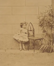 Még mindig a rusztikus szék, 1860-as évek.