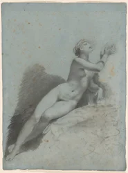 Vénusz