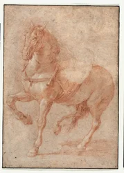 Bucephalus tanulmánya az "Alexander és Diogenész" reliefhez