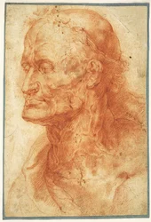 Tanulmány egy öregember fejéről, 1602 körül.
