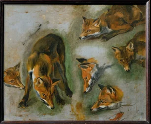 A fox (festmény vászonra)