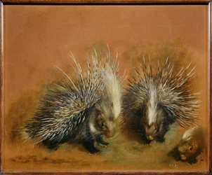 Porcupine (festmény vászonra)