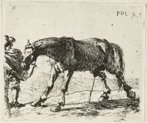 Pisilő ló