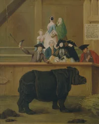 Az orrszarvú, 1751