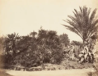 Pincian Garden, Róma, 1853-56.