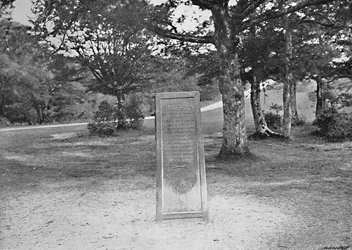 Rufus Stone, New Forest, 1896