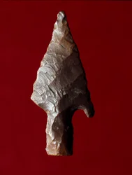 Egyiptomi ókor: nyíl hegye Fayoum (Fayyum vagy Fayum) helyéről Egyiptomban. Predinasztikus időszak. Verone, Museo Civico di Storia Naturale, Olaszország