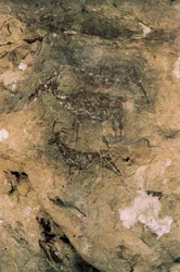 Mezolitikus sziklaművészet: Szarvasok és kecskék (i.e. 8000-7000), Spanyolország, Bicorp, La Arana-barlang (festmény)
