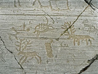 Őstörténet, a camunni civilizáció, sziklaművészet: szarvasokat ábrázoló sírszikla. Az újkőkor és a bronzkor közötti időszak. Szikla. 1. Capo di Ponte, Parco nazionale delle incisioni rupestri di Naquane, Valcamonica, Val Camonica, Olaszország