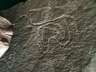 Őstörténet, sziklaművészet: a szarvasmarha ábrázolásának komoly sziklája. Tazina stílus. Kőkorszak Kr.e. 5000-2000. Taghit, Haut plateau du Hoggar (Ahaggar), Algéria
