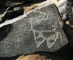 Őstörténet, sziklaművészet: a szarvasmarha ábrázolásának komoly sziklája. Tazina stílus. Kőkorszak Kr.e. 5000-2000. Taghit, Haut plateau du Hoggar (Ahaggar), Algéria