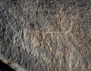 Őstörténet, sziklaművészet: a szarvasmarha ábrázolásának komoly sziklája. Tazina stílus. Kőkorszak Kr.e. 5000-2000. Taghit, Haut plateau du Hoggar (Ahaggar), Algéria