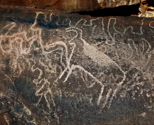 Őstörténet, sziklaművészet: szarvasmarha-ábrázolás sírkőzete. Tazina stílus. Kőkorszak Kr.e. 5000-2000. Taghit, Haut plateau du Hoggar (Ahaggar), Algéria