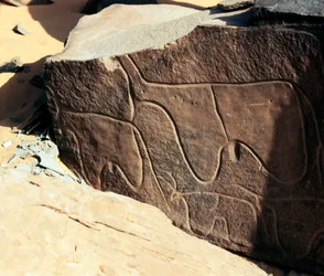 Őstörténet, sziklaművészet: szarvasmarha-ábrázolás sírkőzete. Tazina stílus. Kőkorszak Kr.e. 5000-2000. Taghit, Haut plateau du Hoggar (Ahaggar), Algéria