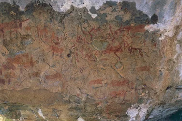 Vadon élő állatok (barlangfestés)