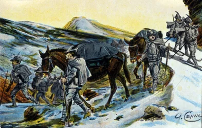 Első világháború: olasz alpesi vadászok csoportja elismerésben öszvéreikkel 1915-ben. Illusztráció: Quinto Cenni (1845-1917)