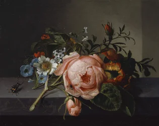 Csendélet rózsaággal, bogárral és méhecskével, 1741 (olaj, vászon tölgyre szerelve)