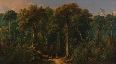 Jávai dzsungel, kb. 1860.