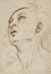 Egy felfelé tekintő fiatalember feje, c. 1497-1504 (toll és barna tinta fémhegy felett krémpapíron)