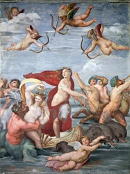 Galatea diadala, c. 1512