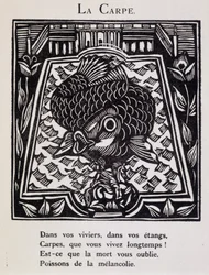 Carp - Guillaume Apollinaire "Le Bestiaire ou cortege d