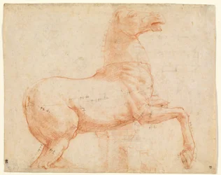 Márványló a Quirinal-dombon (recto), 1513 körül (vörös kréta, toll, barna tinta, ólomhegy és ceruza)