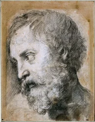 Az An Apostle Study for Transfiguration vezetője, 1519-1520