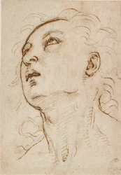 Egy fiatal férfi feje felfelé néz, c1497-c1504
