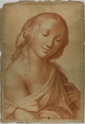 múzsa