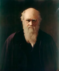 Charles Darwin (olaj a fedélzeten)
