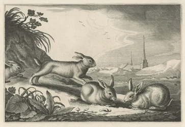 Dűne táj nyulakkal Diversa Animalia Quadrupedia (sorozat címe)