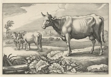 Legelő tehenekkel Diversa Animalia Quadrupedia (sorozat címe)
