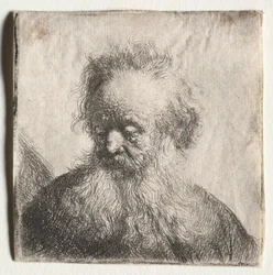Öregember, göndör szakállal: Bust