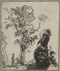 Lap két tanulmánnyal: egy fa és egy veleget viselő Rembrandt fejének felső része..., kb. 1642.