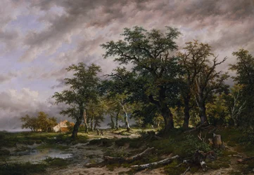 Nagy holland táj